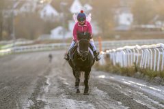 20251102-161954-DSC_2570