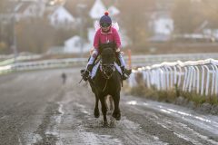 20251102-161954-DSC_2573