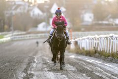 20251102-161955-DSC_2577