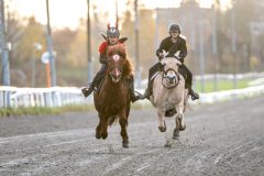 20251102-161956-DSC_2590