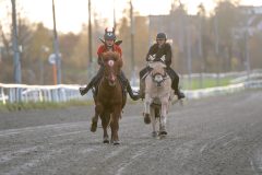 20251102-161956-DSC_2593