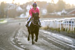 20251102-161957-DSC_2607