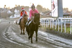 20251102-161958-DSC_2614