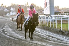 20251102-161958-DSC_2618