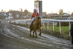 20251102-162000-DSC_2638