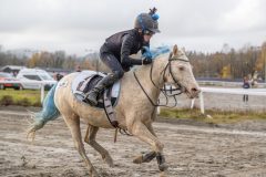 20251102-162542-DSC0471