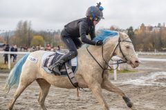 20251102-162542-DSC0472