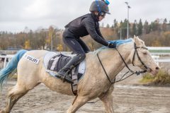 20251102-162542-DSC0473