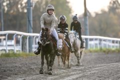 20251102-162549-DSC_2770