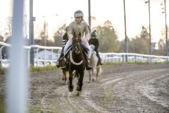 20251102-162551-DSC_2792