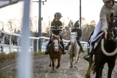 20251102-162553-DSC_2798