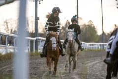 20251102-162553-DSC_2804