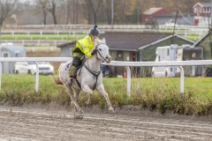 20251102-163057-DSC0476