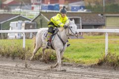 20251102-163057-DSC0482