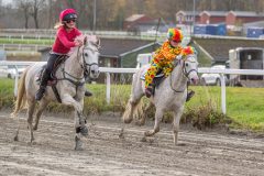 20251102-163100-DSC0491