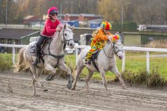 20251102-163100-DSC0494