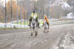 20251102-163100-DSC_2894