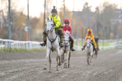 20251102-163104-DSC_2938