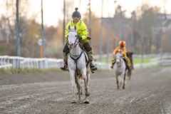 20251102-163105-DSC_2944