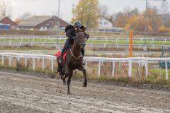 20251102-163106-DSC0502