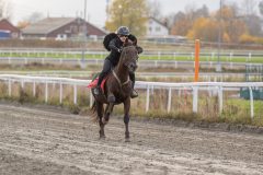 20251102-163106-DSC0503