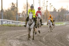 20251102-163107-DSC_2958