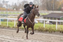 20251102-163108-DSC0505