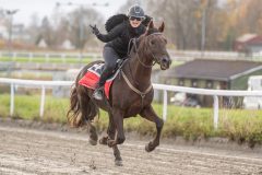 20251102-163108-DSC0506