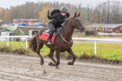 20251102-163109-DSC0507