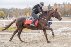 20251102-163110-DSC0508