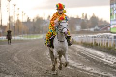 20251102-163113-DSC_3031