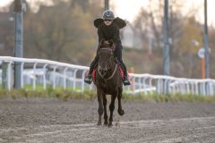 20251102-163118-DSC_3061