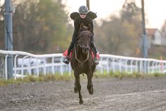 20251102-163120-DSC_3077