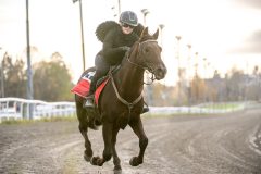 20251102-163124-DSC_3115