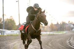 20251102-163125-DSC_3117