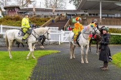 20251102-163723-DSC_3134