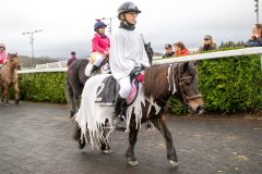 20251102-163856-DSC_3210