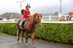 20251102-163912-DSC_3259