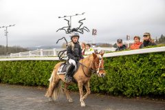 20251102-163918-DSC_3284