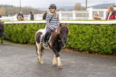 20251102-163957-DSC_3364