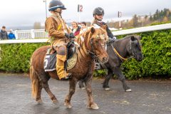 20251102-164004-DSC_3394