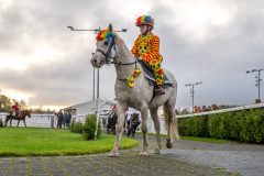 20251102-164014-DSC_3416