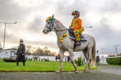 20251102-164015-DSC_3425