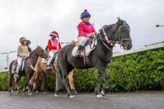 20251102-164028-DSC_3492