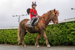 20251102-164038-DSC_3551