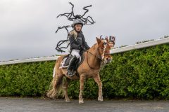 20251102-164042-DSC_3573