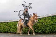 20251102-164042-DSC_3582