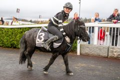 20251102-164104-DSC_3633