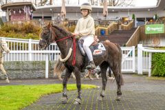 20251102-164117-DSC_3649