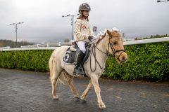 20251102-164133-DSC_3688